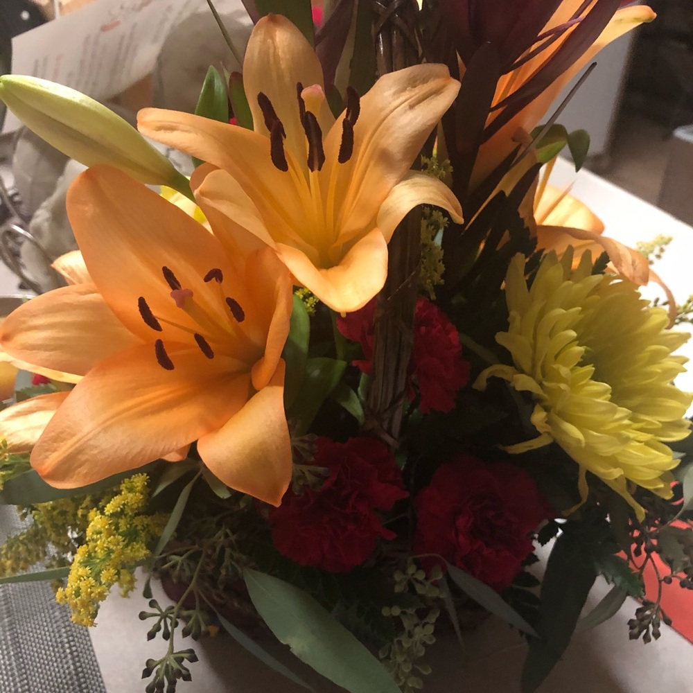 Meet your Posher, Ashlie